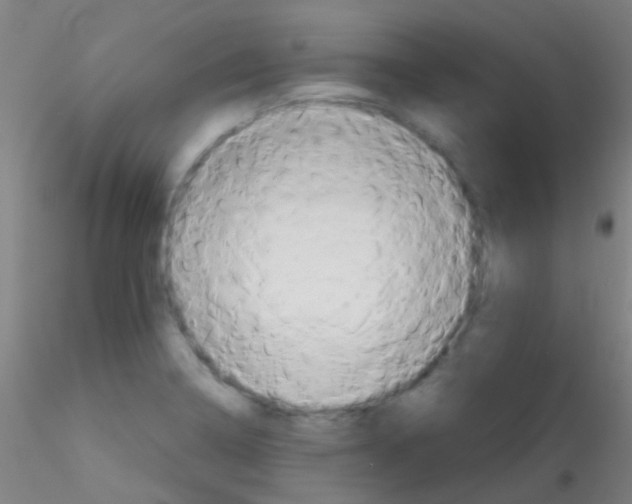 X0000115171322200911251325