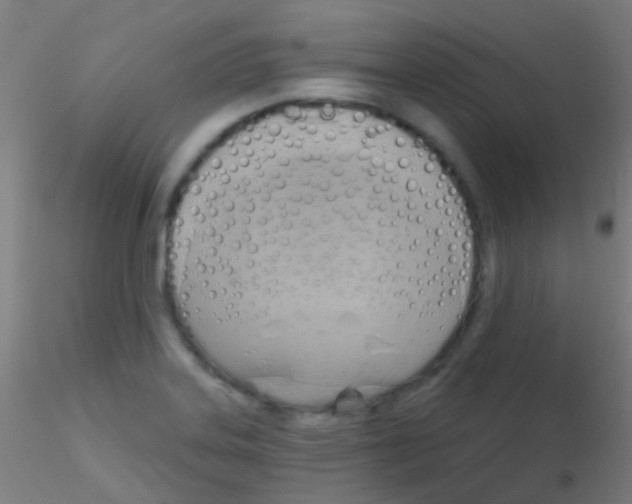 X0000115171323200911251325