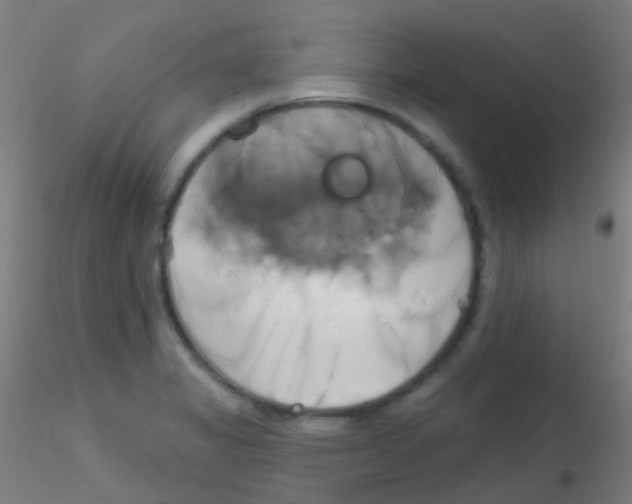 X0000115171325200911251325