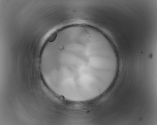 X0000115171326200911251325