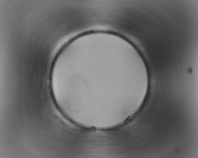 X0000115171327200911251325