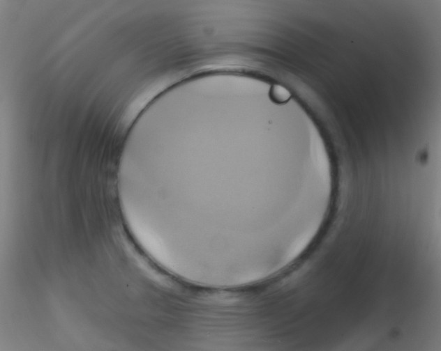 X0000115171329200911251325