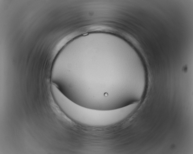 X0000115171330200911251325