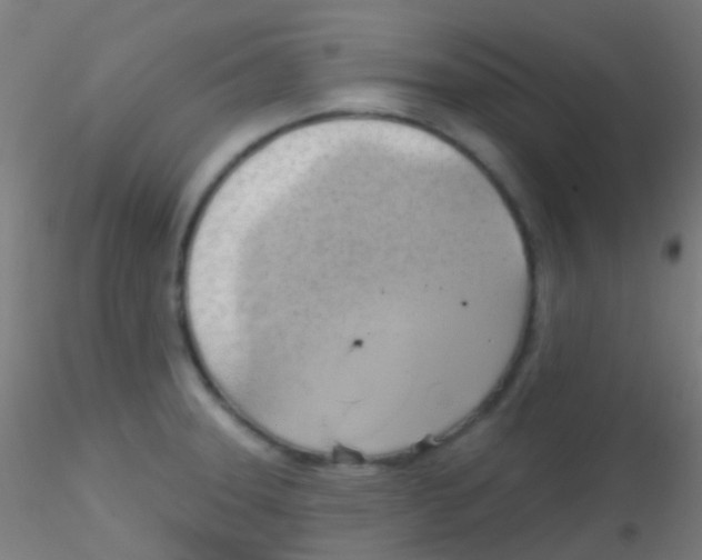 X0000115171331200911251325