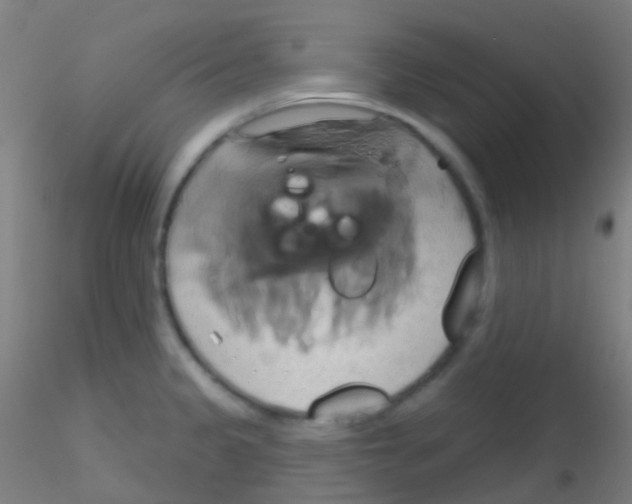 X0000115171333200911251325