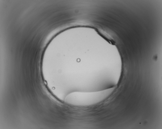 X0000115171334200911251325