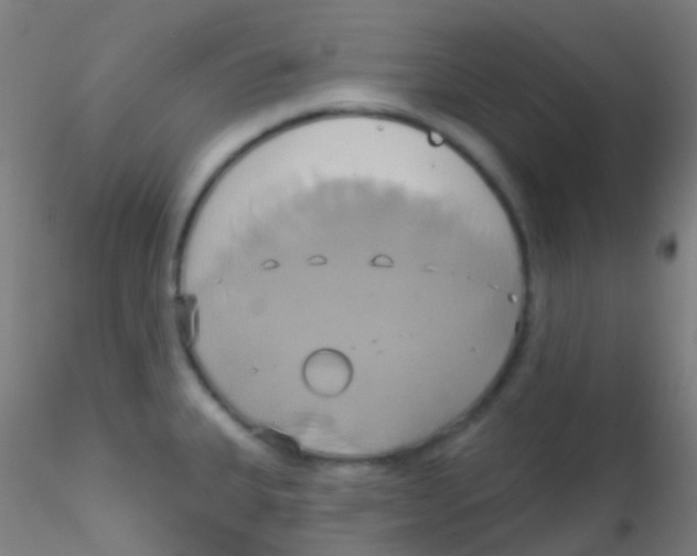 X0000115171335200911251325