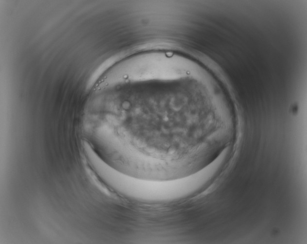 X0000115171337200911251325