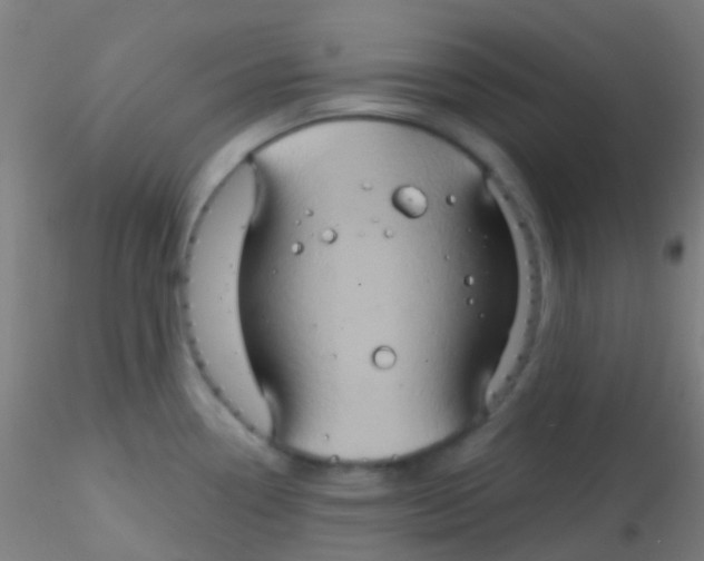 X0000115171338200911251325