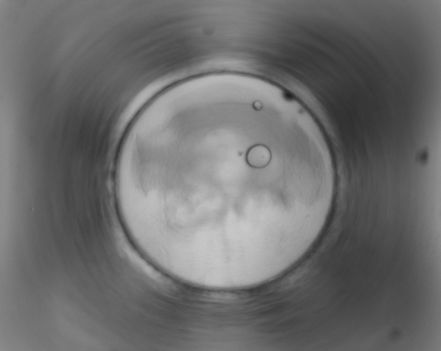 X0000115171339200911251325