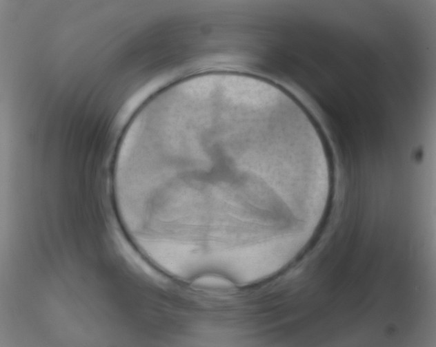 X0000115171341200911251325