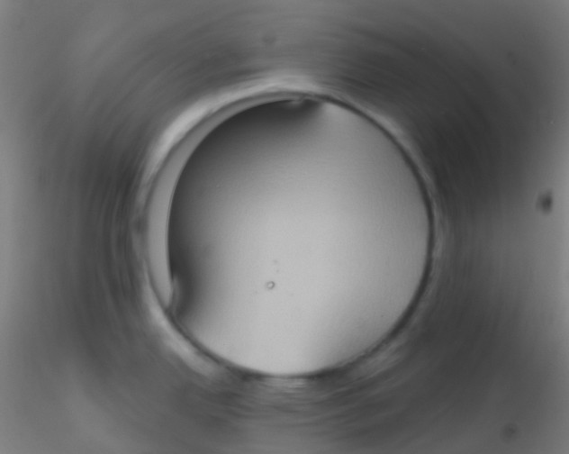 X0000115171342200911251325