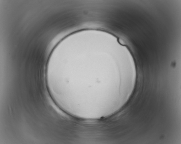 X0000115171343200911251325