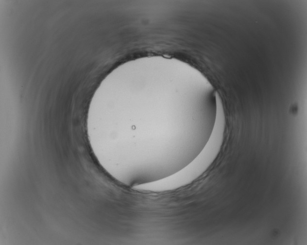 X0000115171345200911251325