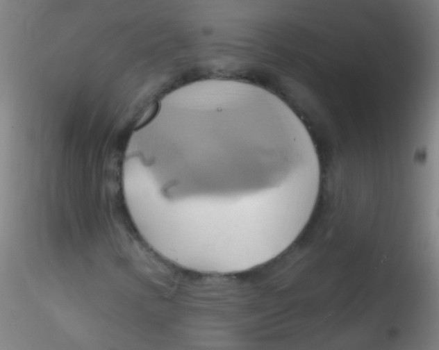 X0000115171346200911251325