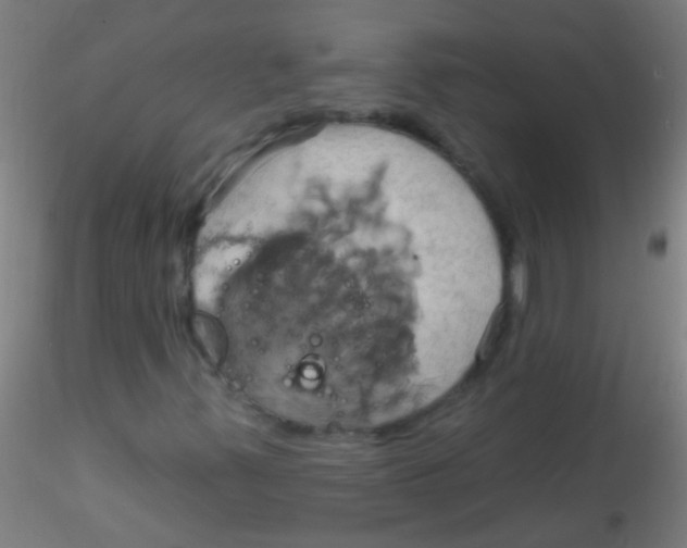 X0000115171347200911251325