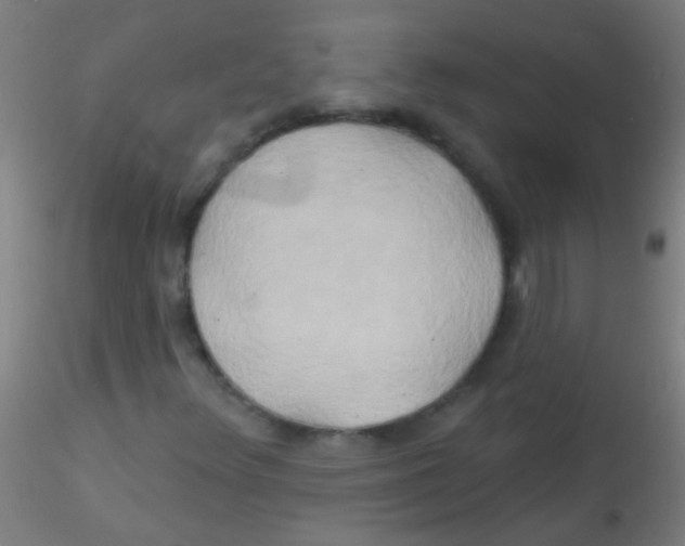 X0000115171348200911251324