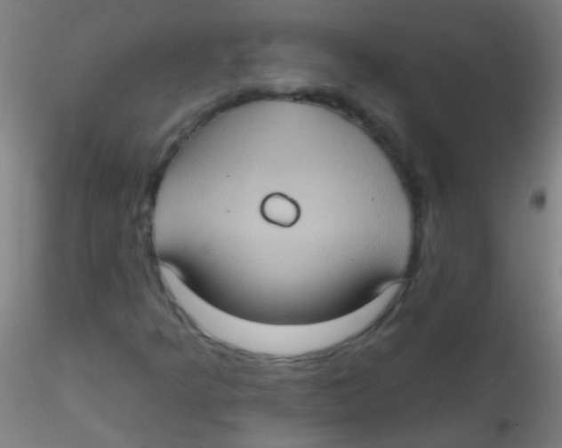 X0000115171349200911251324