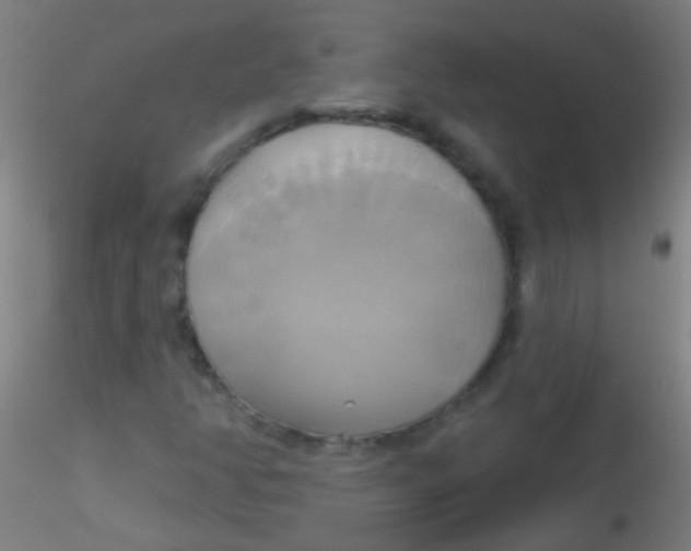 X0000115171350200911251324