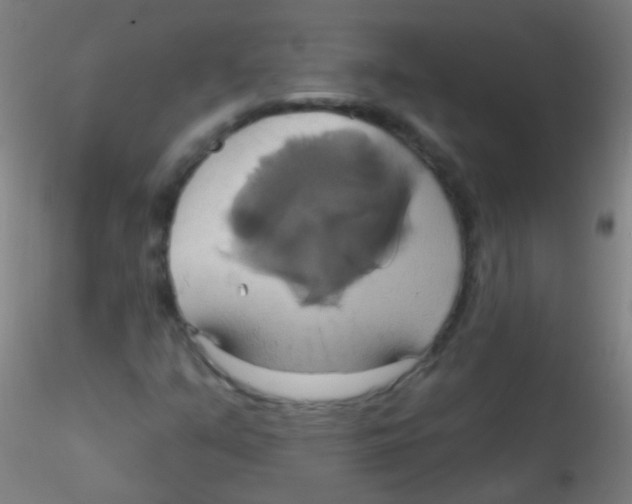 X0000115171351200911251324