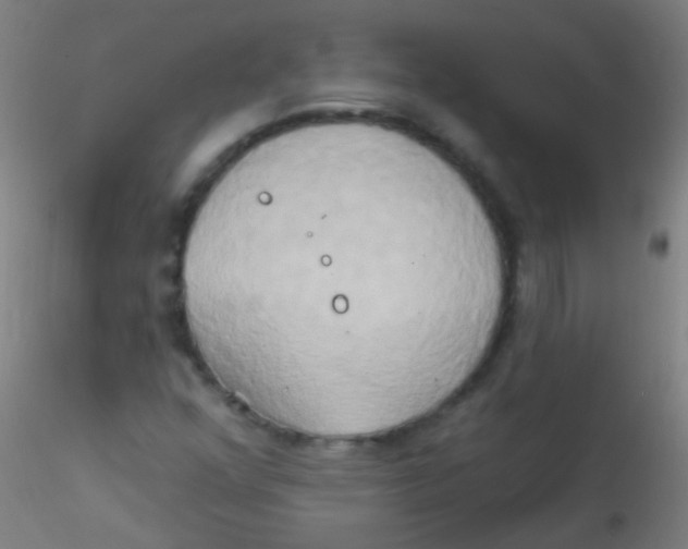 X0000115171352200911251324