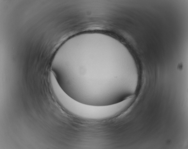 X0000115171353200911251324