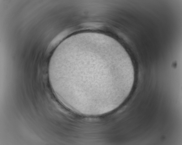 X0000115171354200911251324