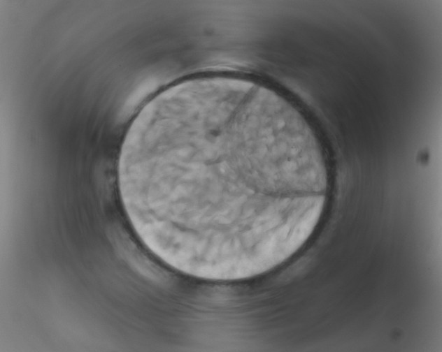 X0000115171355200911251324