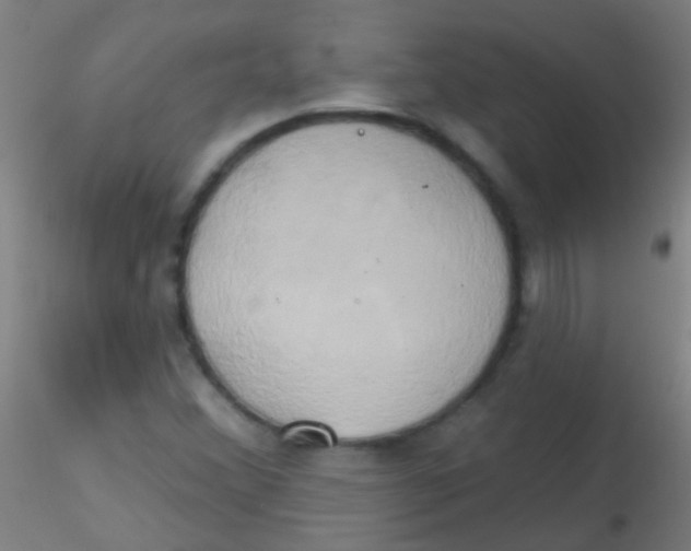 X0000115171356200911251324