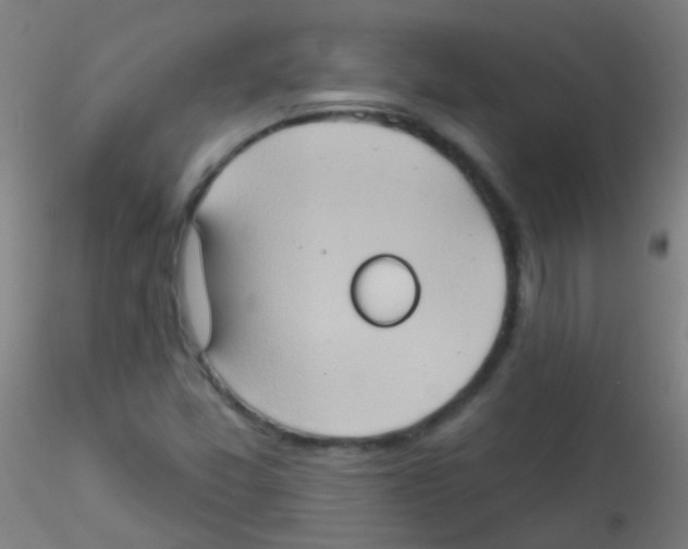 X0000115171357200911251324