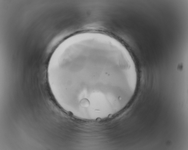 X0000115171358200911251324