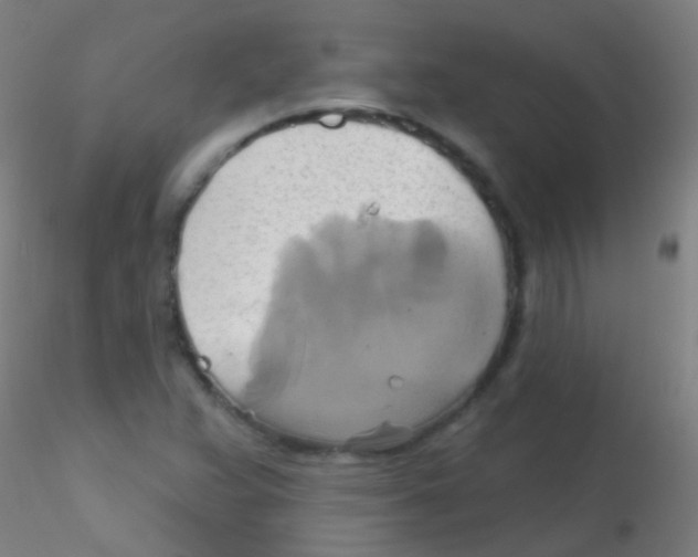 X0000115171359200911251324