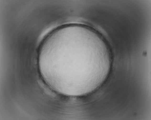 X0000115171360200911251324