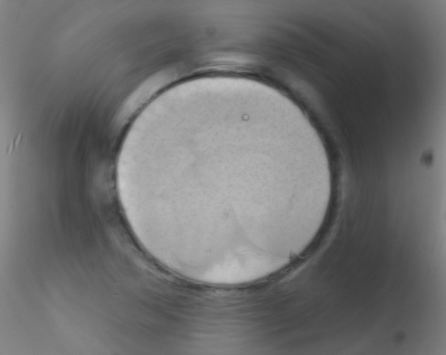 X0000115171362200911251324