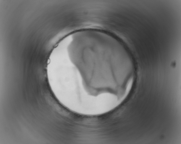 X0000115171363200911251324