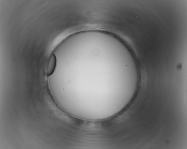 X0000115171365200911251324