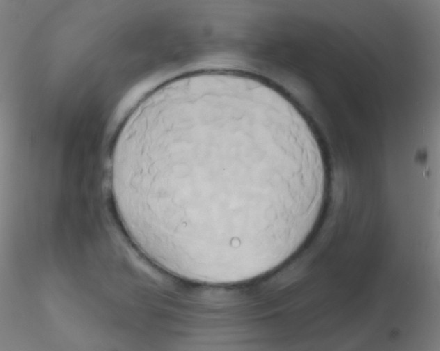 X0000115171366200911251324