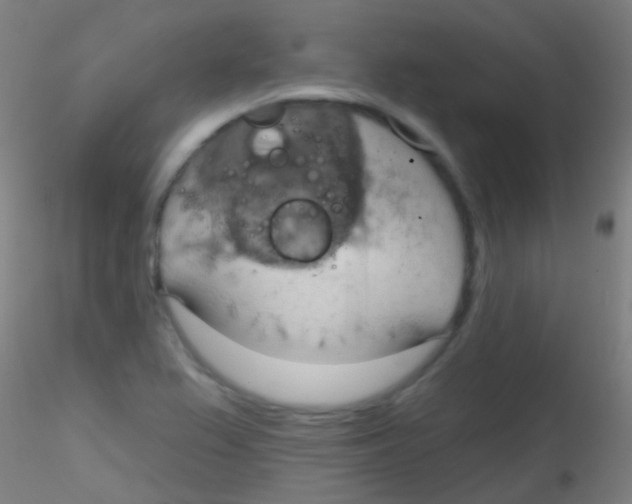 X0000115171367200911251324