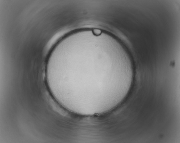 X0000115171368200911251324