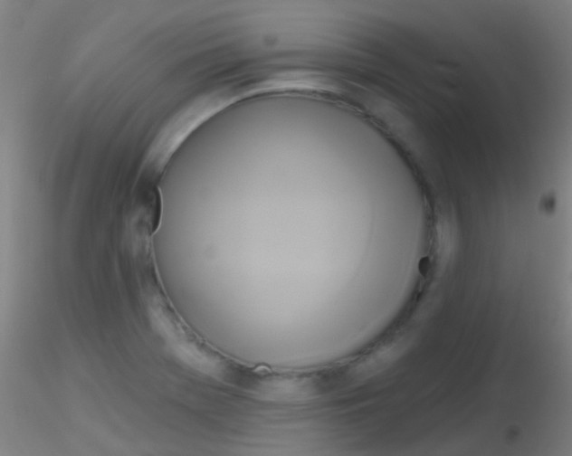 X0000115171369200911251324