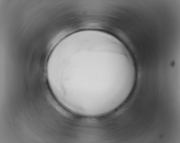 X0000115171370200911251324