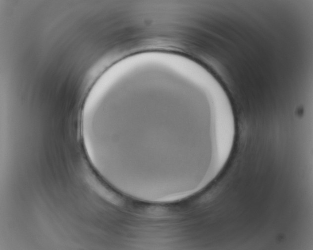 X0000115171371200911251324