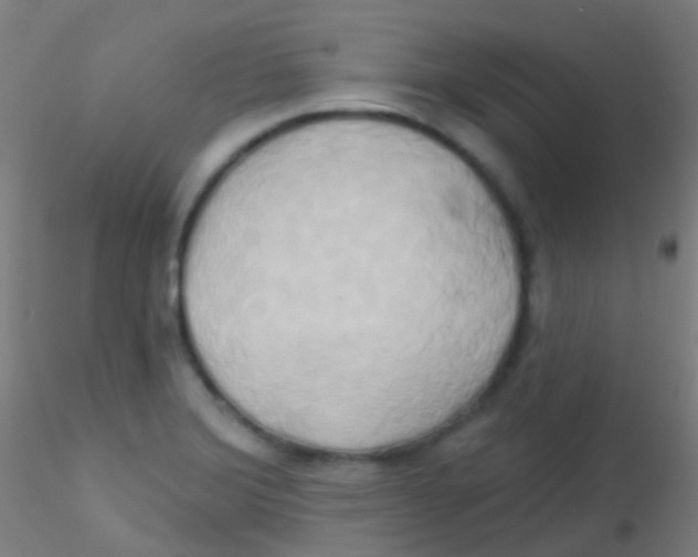 X0000115171372200911251324