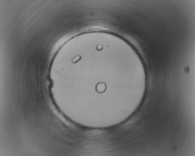 X0000115171373200911251324