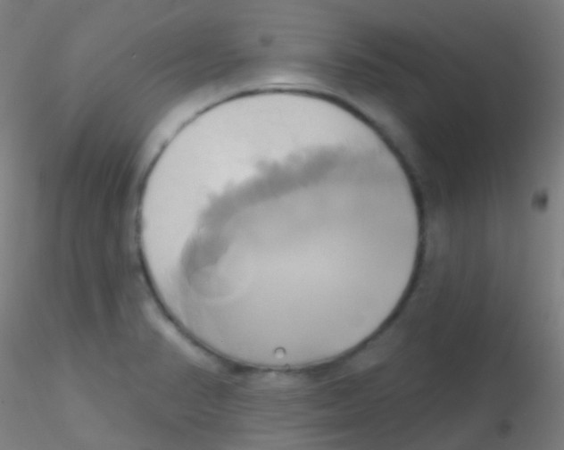 X0000115171374200911251324