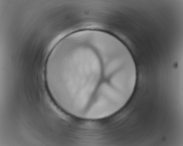 X0000115171375200911251324