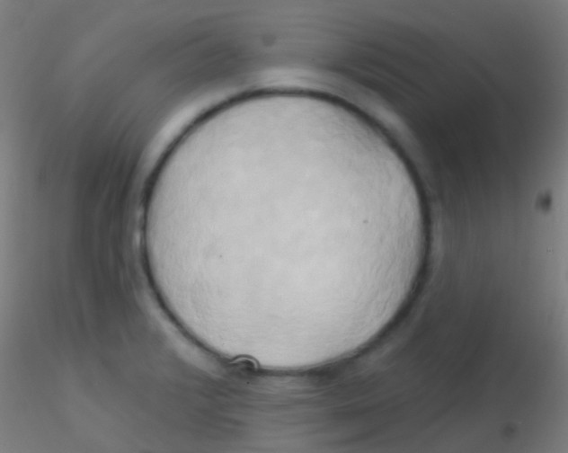 X0000115171376200911251324