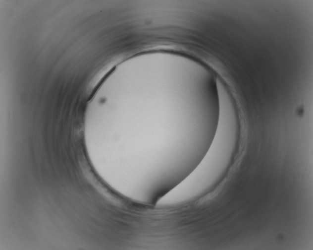 X0000115171377200911251324