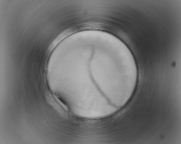 X0000115171378200911251324