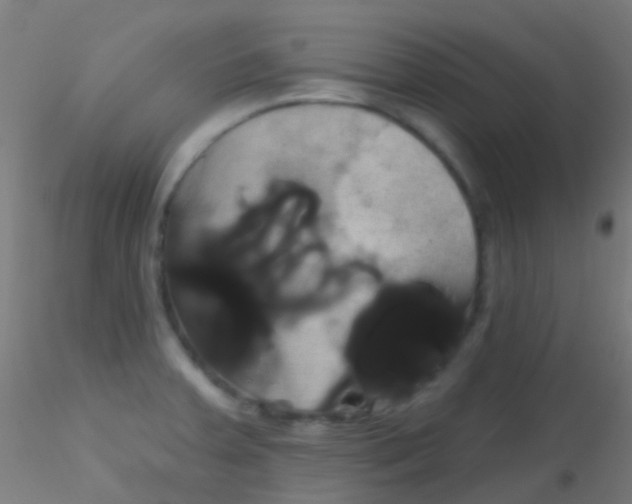 X0000115171379200911251324